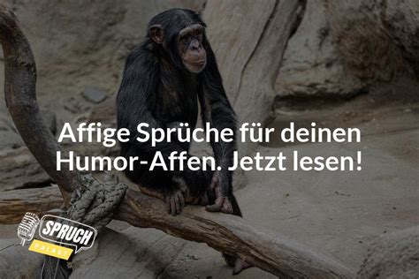 Karten gegen Humanität - Ein Spiel für Freche Sprüche und Lachanfälle!